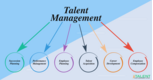 Components to Look For in a Talent Management System